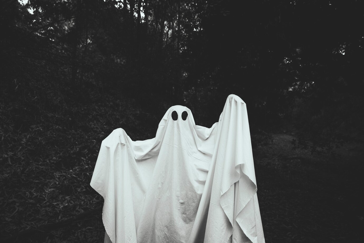 Exploring the Benefits and Challenges of Ghost Commerce